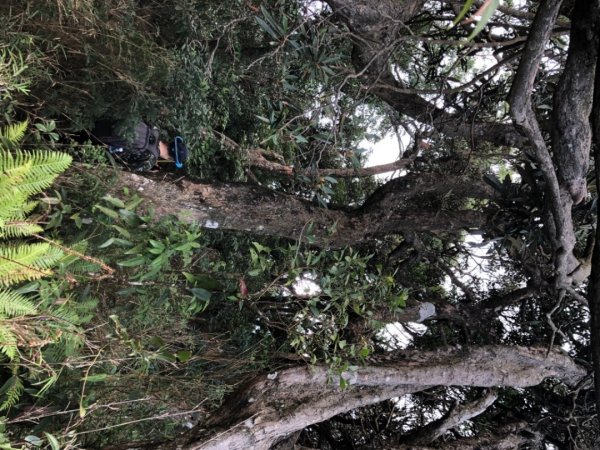 貴妃山、那結山O走1478325