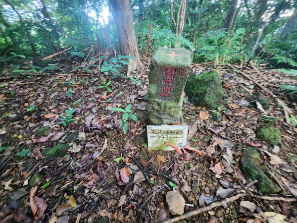 20240915關西玉山赤柯山東獅頭山馬福山O型2654681