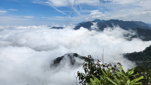 【中級山縱走】最美中級山，鳶嘴西稜縱走（鳶嘴山，醜崠山，長壽山）2741421