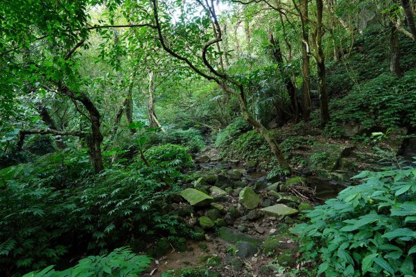 新北 萬里 鹿崛坪山、富士坪山、大尖山2353361