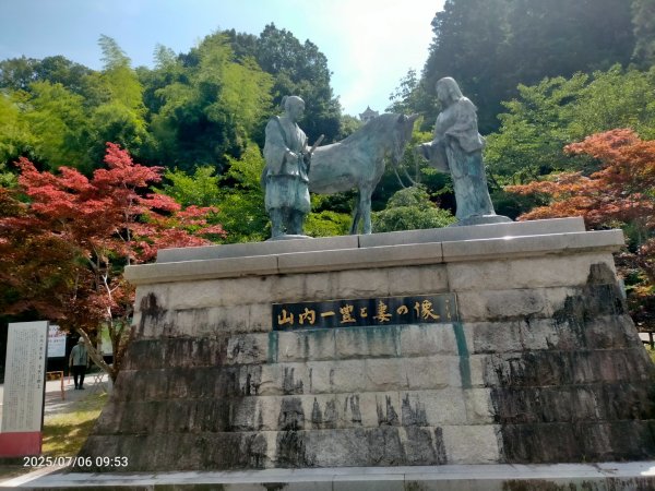 名古屋:郡上八幡城2827866
