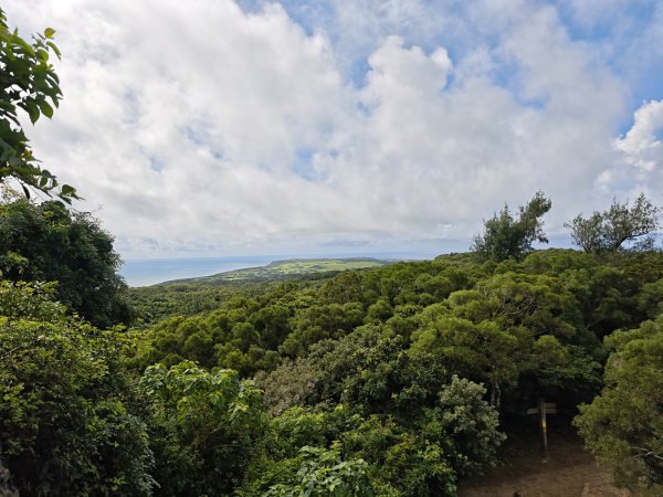 [百山百鳥尋旅-02/15] 2025_0809 社頂自然公園步道2856955