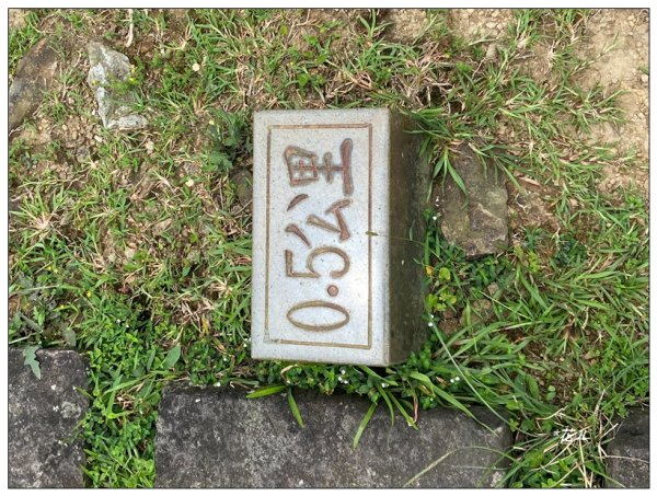 灣坑頭山(小百岳)內寮線、大溪線、草嶺線連走2529360