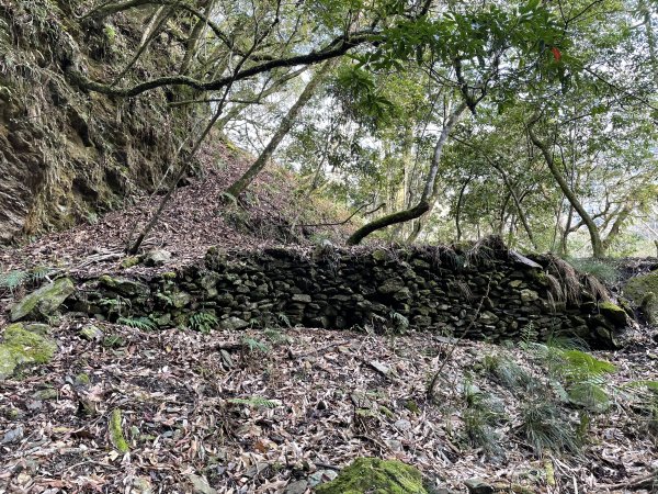 鍛鍊海鼠O型縱走 (上)1314494