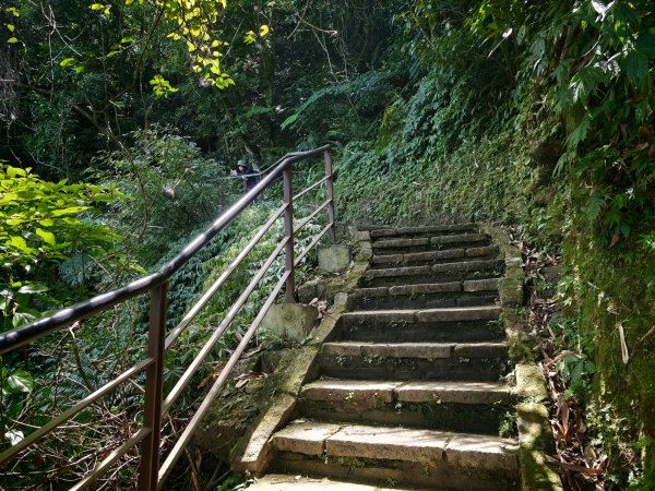 [淡蘭古道] 2026_0523 南路第一段_拇指山3069564