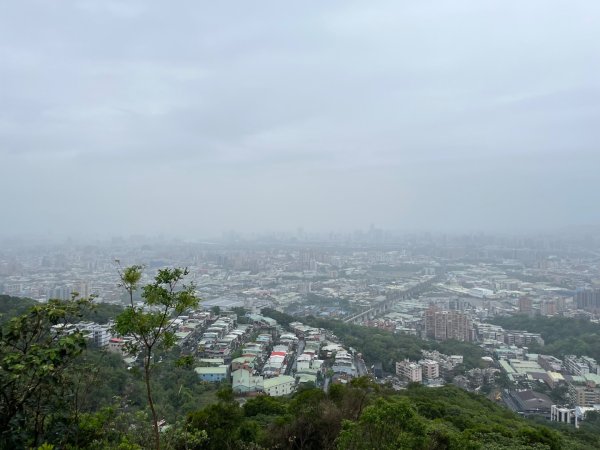 20230422_大棟山+三角頂浦山（新北小百岳）2762300