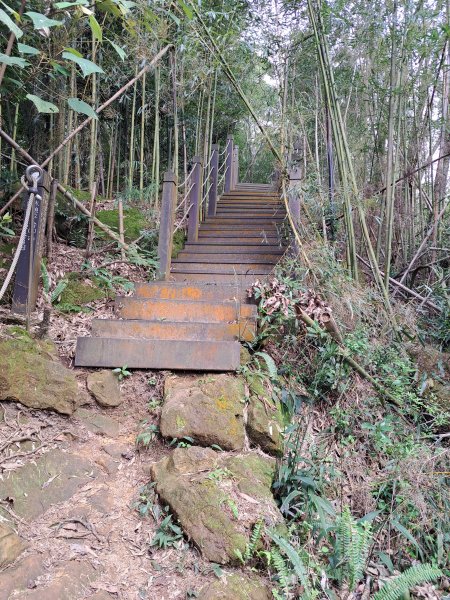 和平雙崎埋伏坪步道+埋伏坪山2310295