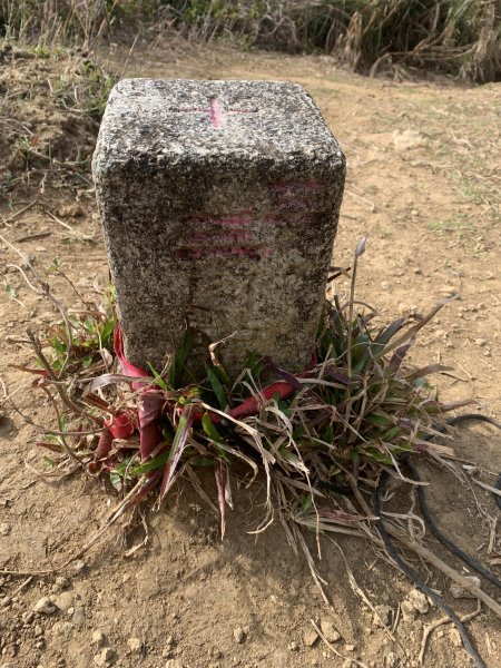 20250222屏東赤牛嶺-大山母山-小尖石山2719884