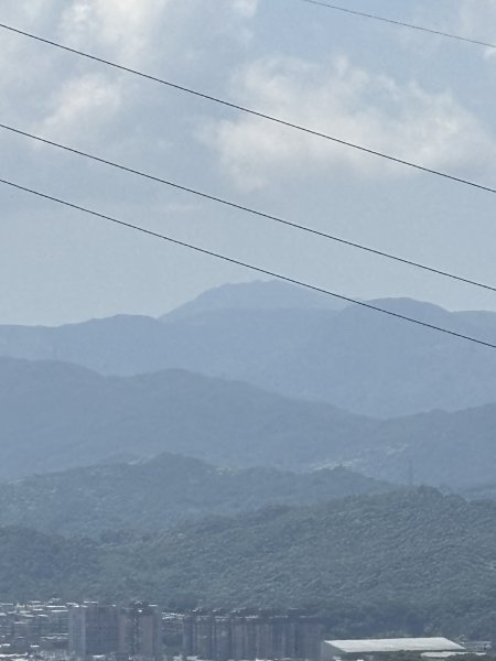紅淡山3043549