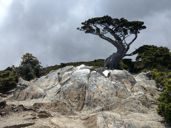高雄/花蓮/台東-嘉明湖-向陽山-三叉山3053726