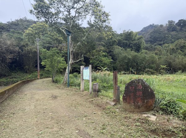 [樟之細路_第一大段RSA08] 2026_0328 小粗坑古道3025754
