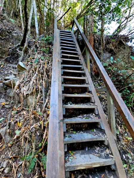 白毛山-谷關七雄(老六)3015214