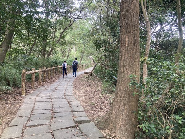 飛鳳山登山步道2459558