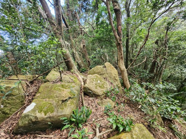 火燒寮山熊空山竹坑山加九嶺O型2966274