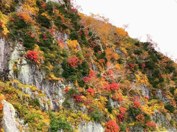 黑部立山秋行2933336