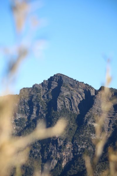 缺哩の雪山主東單攻2568741