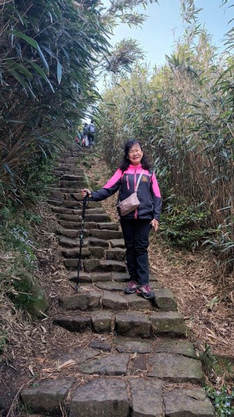 【臺北大縱走 3】小油坑→七星山主峰、東峰→冷水坑→冷擎步道→菁山吊橋→雞心崙→折返至冷水坑2093738