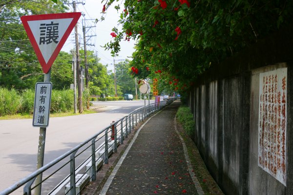 樟之細路縱走：龍潭至石門山1472120