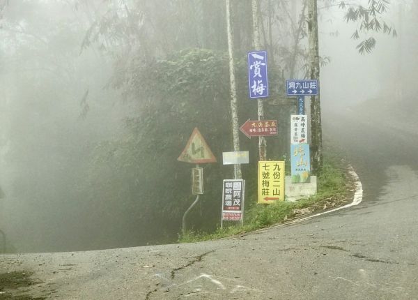 青山常在 九份二山293027