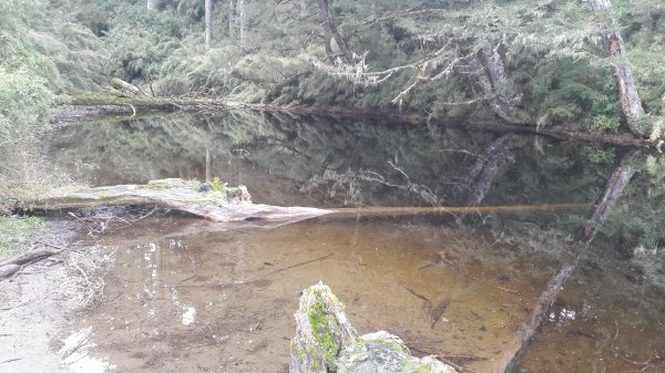 楓之谷~天巒池~武法奈尾山497571