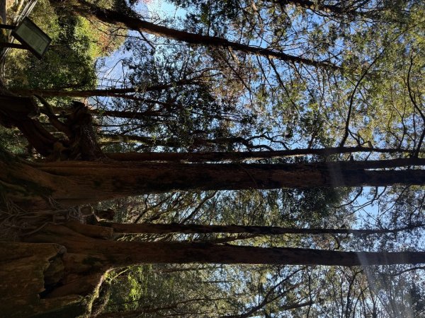 1141215塔山步道2963170