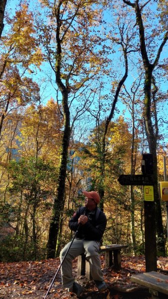 熱血一日霞喀羅賞楓之旅2784997