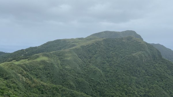 桃源谷絕美海岸草原1896025