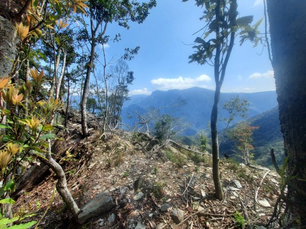 六龜警備道南段+吉田山＋足母山2456720