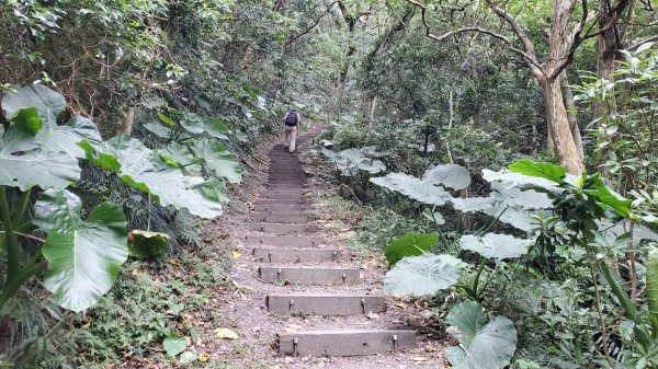 屏東山旅 – 雙流國家森林遊樂區（瀑布步道-沿山步道）2679940