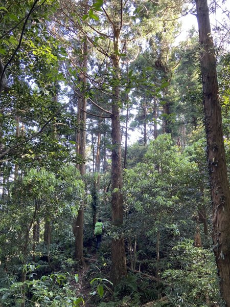 蓮包山、外鳥嘴山、那結山、貴妃山、水田林道O 型縱走1672733