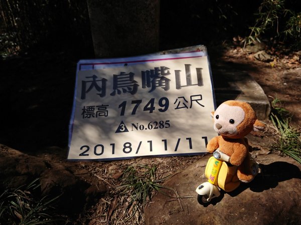 20181111北得拉曼賞山毛櫸459225