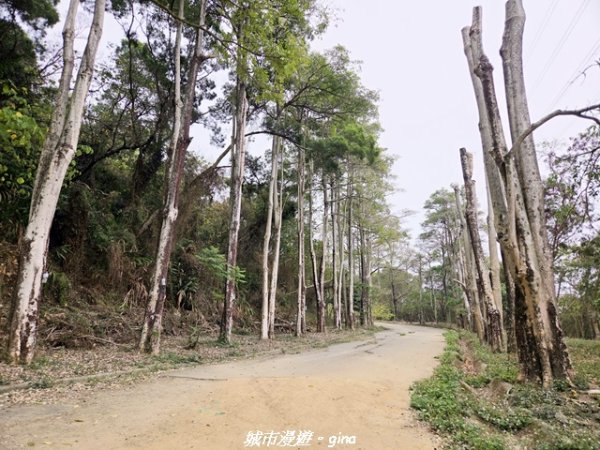 【台中太平】小百岳三汀山3027094