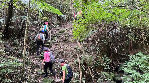 東勢大崙、東勢坑山、觀音湖山O走2986388