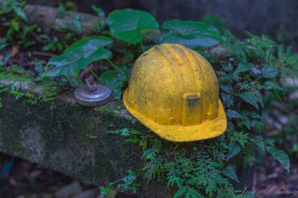 [新北]白雞山與裕峰煤礦遺址2891868