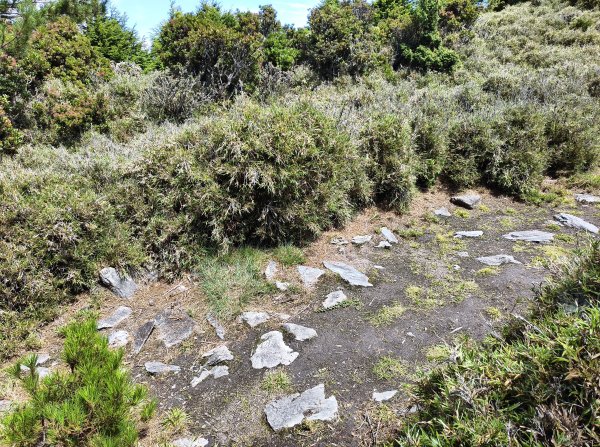 北一段(10/14)馬比杉山 2025_0906~132887128