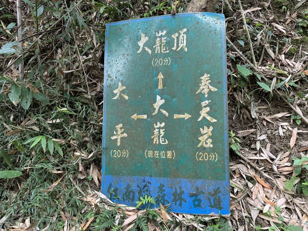 雲嘉十八連峰1932653