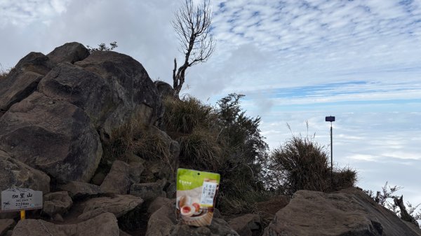 再也不爬囉（告別20252973162