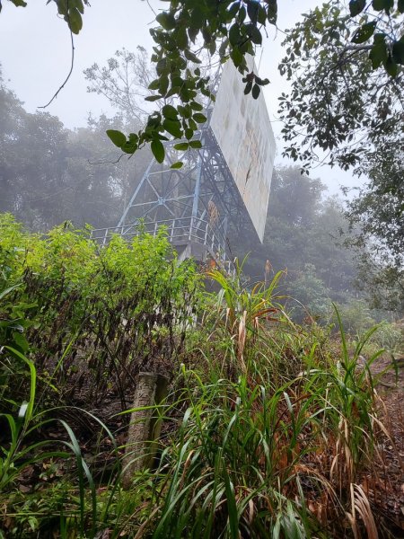 谷關老八阿冷山2699787