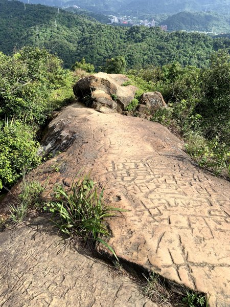 201001-四獸山縱走（虎山、豹山、獅山、象山）1372859