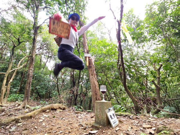 東勢大崙、東勢坑山、觀音湖山O走2986241