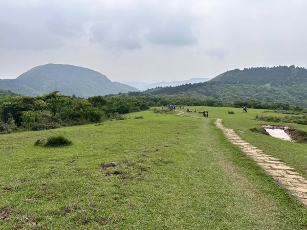 臺北大縱走第三段 小油坑》風櫃嘴2478298