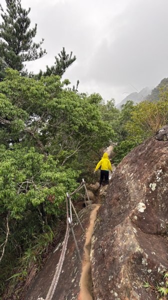 迎新（2026元旦2975591