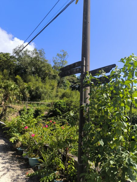 20251010微笑山線：【五分山系】菁桐煤礦段2910188