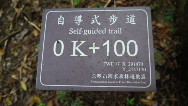 東眼山登山健行趣(小百岳22號)1544312