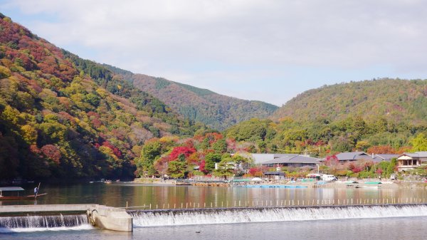 日本京都嵐山651804