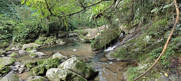 2026/02/21-馬胎古道（含二期）3005117