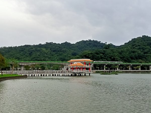 大湖公園 (防災公園)【走路趣尋寶】1899857