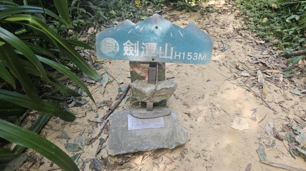 20250816劍潭山方舟森林-北眼平台-微風平台2864253