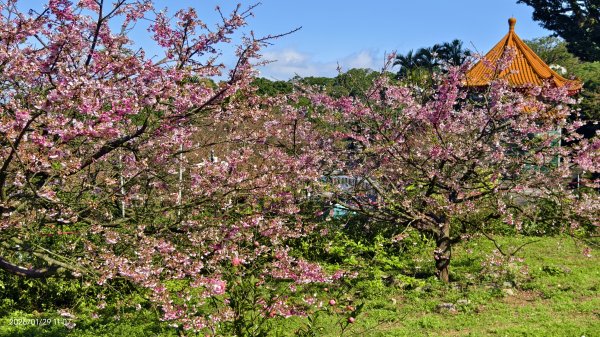 天元宮了嗎？2/32992592