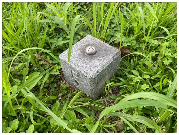 魚池尖山 (魚池富山) 中入右出2828914